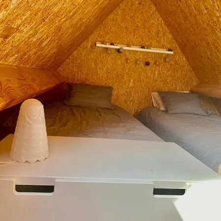 Saules Et Tetards * Frasnes-lez-Anvaing