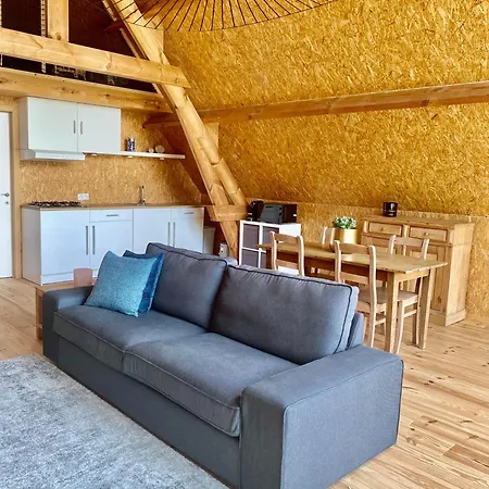 Saules Et Tetards * Frasnes-lez-Anvaing