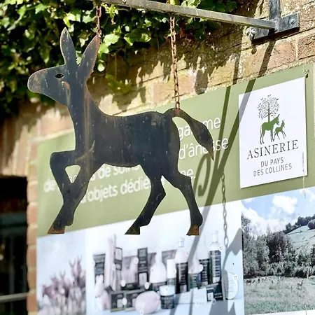 Saules Et Tetards * Frasnes-lez-Anvaing