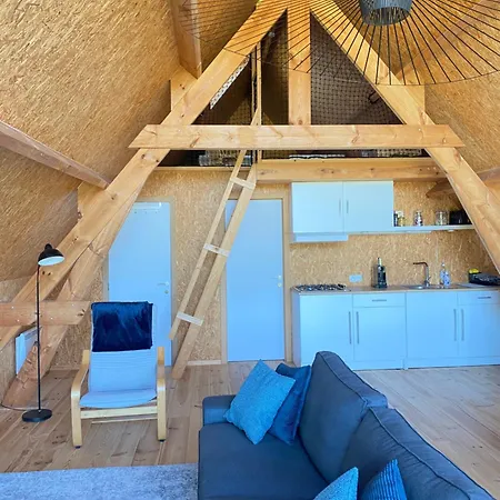 Saules Et Tetards Frasnes-lez-Anvaing